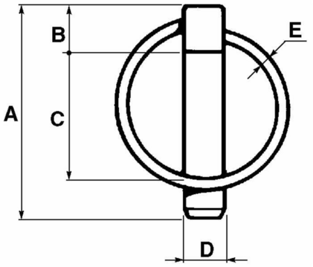 web-10524_2.jpg